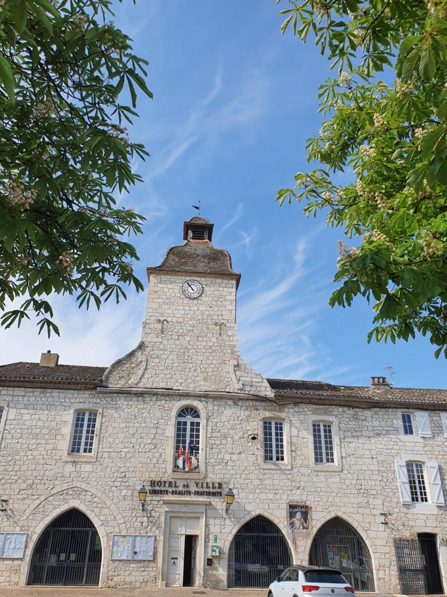 La Cour Saint Louis Bed and Breakfast Castelnau-Montratier Exteriör bild